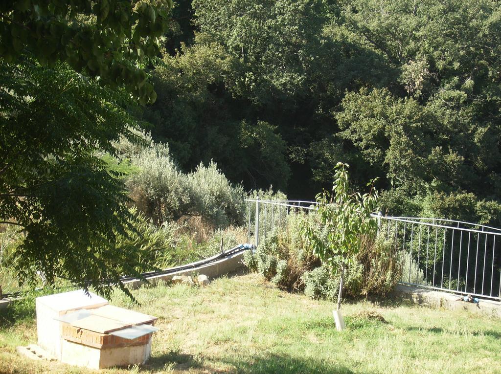 Maremma Verde Apartamento Montorgiali Habitación foto